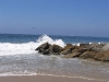 img_0613.jpg