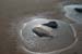 10-pretty-puddle